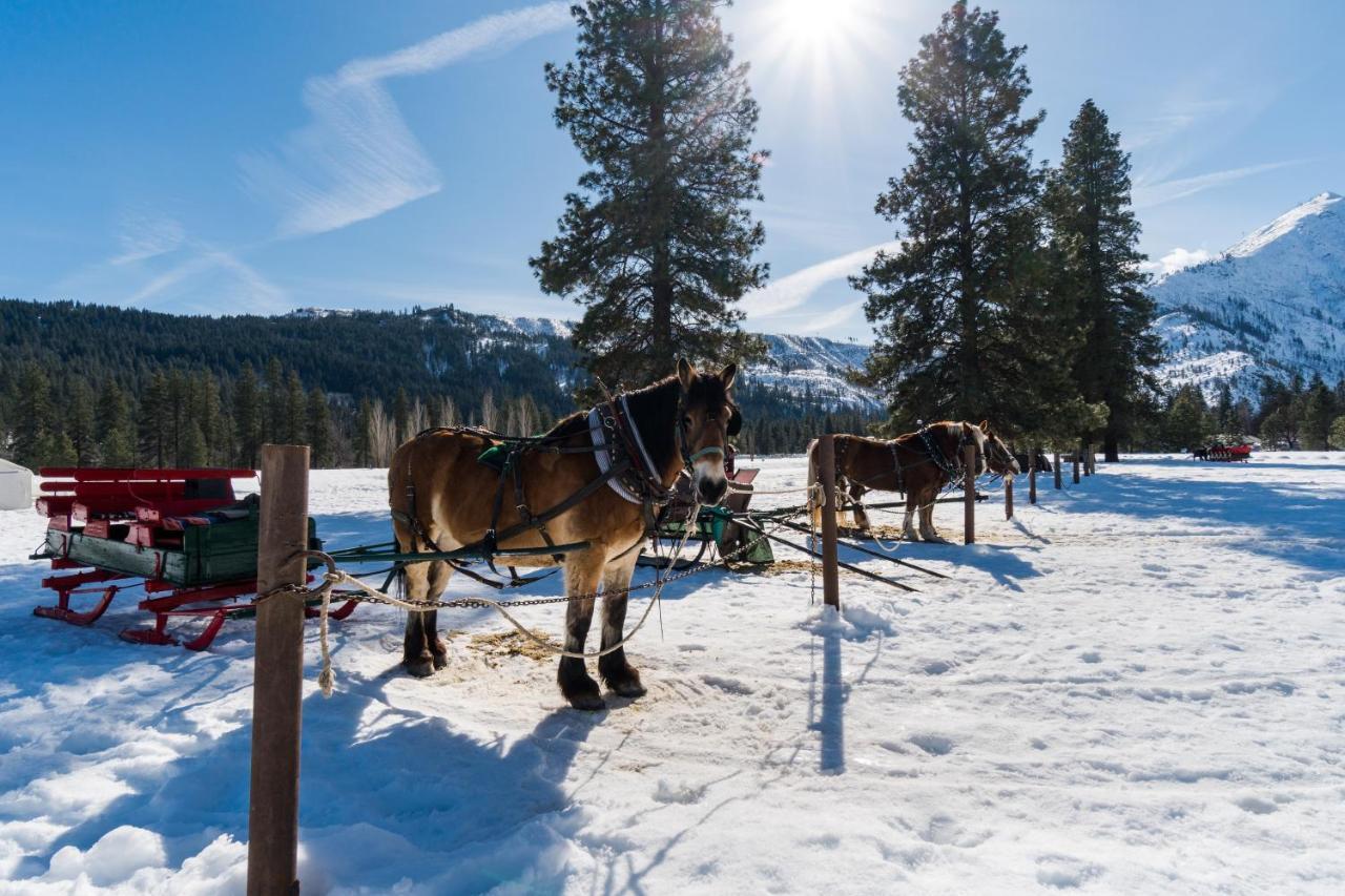 ליבנוורת' Icicle Village Resort 508: Alpine Aurora מראה חיצוני תמונה